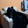 toki_4008