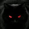 ck.devil_cat