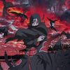 el_novato021