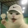 tenn_2_