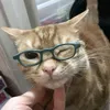 mhamhamhowww