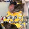 romina_milk