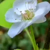 anhben133