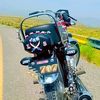 salman3021786