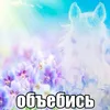 oh.love.__