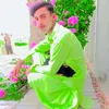 ajmallashari4756
