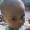 harianku.id