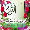 dy7w81hg25sx