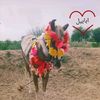 khalid.leghari67