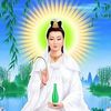 thituongvyho8