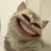 gomhi09