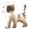 jmtmjwatn2