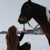 alexa_konoblog