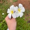 yuliantika_ly
