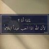 dyp84c923oki