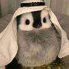 supercutecutecute