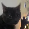 osubieo