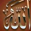 nhmednadeem0