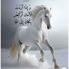 umyazan4321