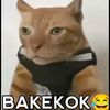 mgikngik2