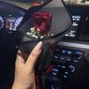 rozan.tiktok