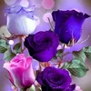aboabdallah725