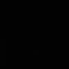 llir_032