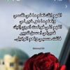 appleuser26234671