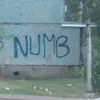 numbik_jo