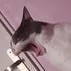 ._matheoo