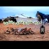 abdalah_05