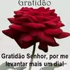 losmourao59