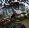 fierceallosaurus2