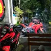 wahyumarquezmondy