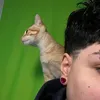 bianstx