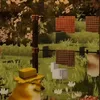 10_valya_valya_10