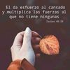 djbenitez26
