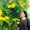 ninhdothi937