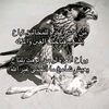 al.madena.alfadla