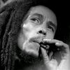 bo_marly