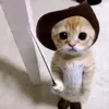 kamayolll