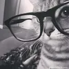 urlilmonster22