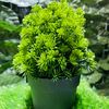 veesdecorhub256