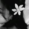 kim_ritaa