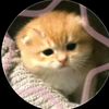 4rchive_lii