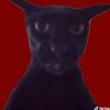 evil_larry66