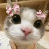 lencyaw