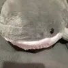 sharkgirl43