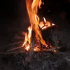 alilraqi846