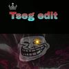 tseg_edit